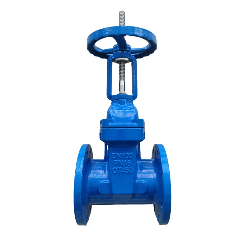 Double Flange Gate Valv