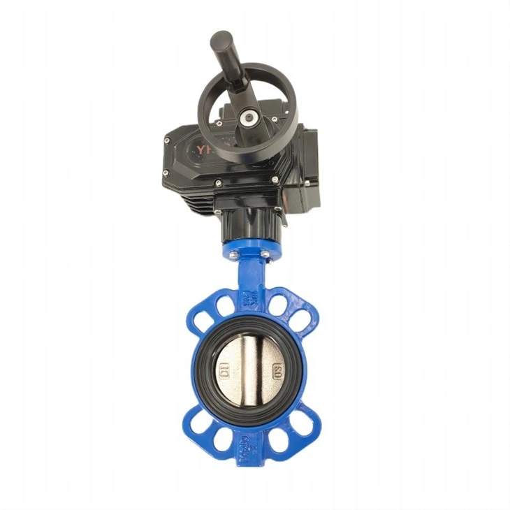 Papiyon Valv Motorize Actuator
