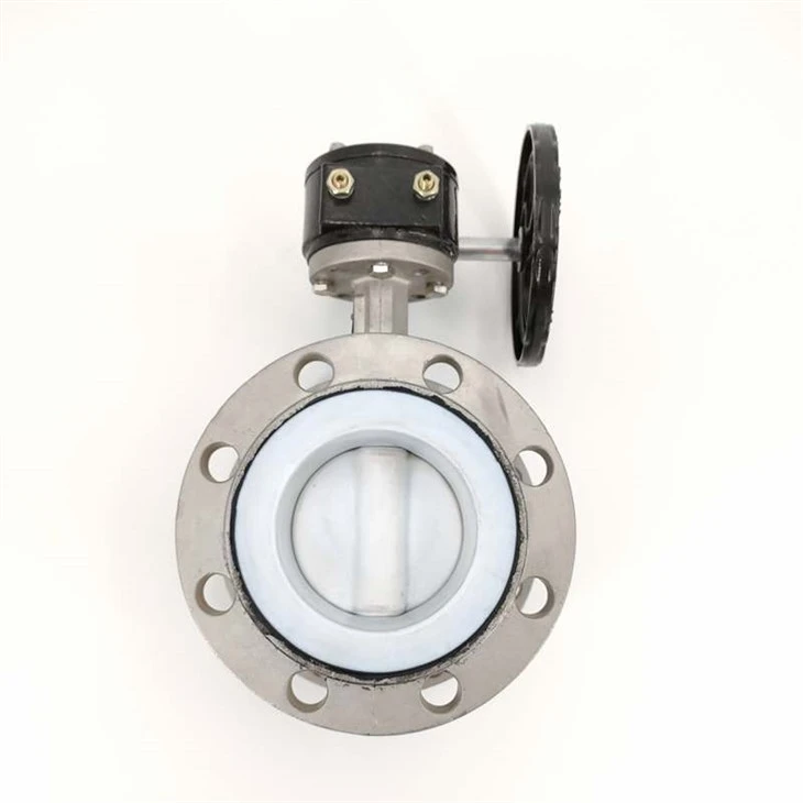 Turbine bride pur asye ptfe papiyon valv